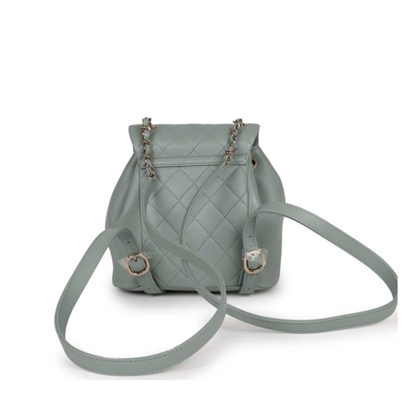 Chanel Small Duma Backpack NWT - Picture 10 of 16